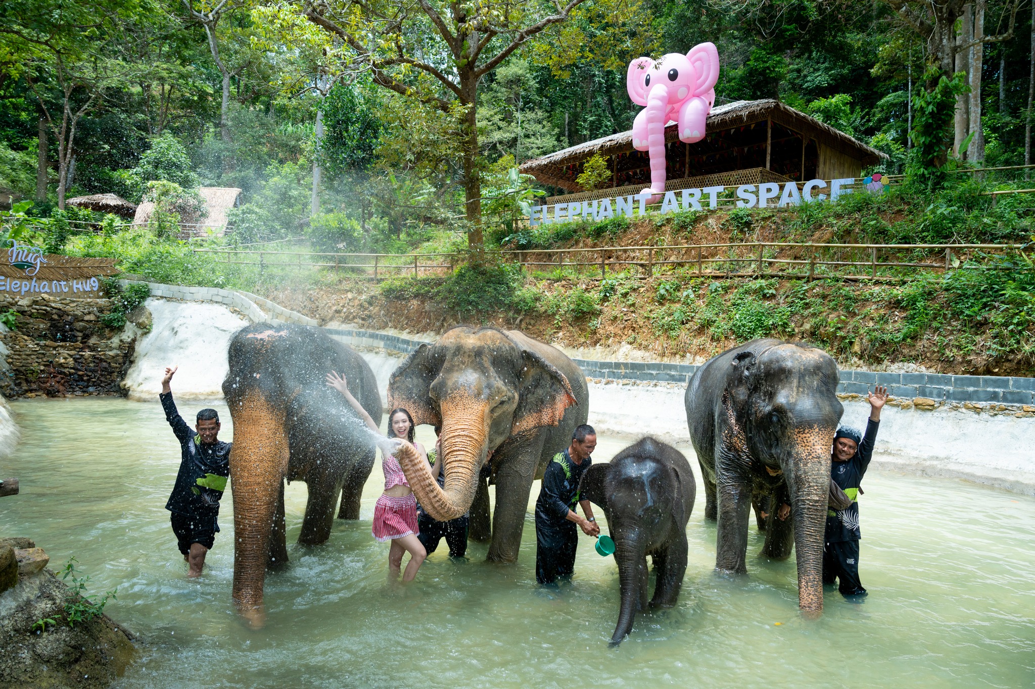 Patong Elephant Hug | Patong