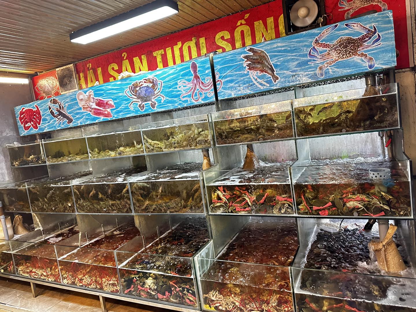 Chiu - Buffet Hải Sản - Khu Đô Thị Đồng Văn Xanh | Ha-Nam