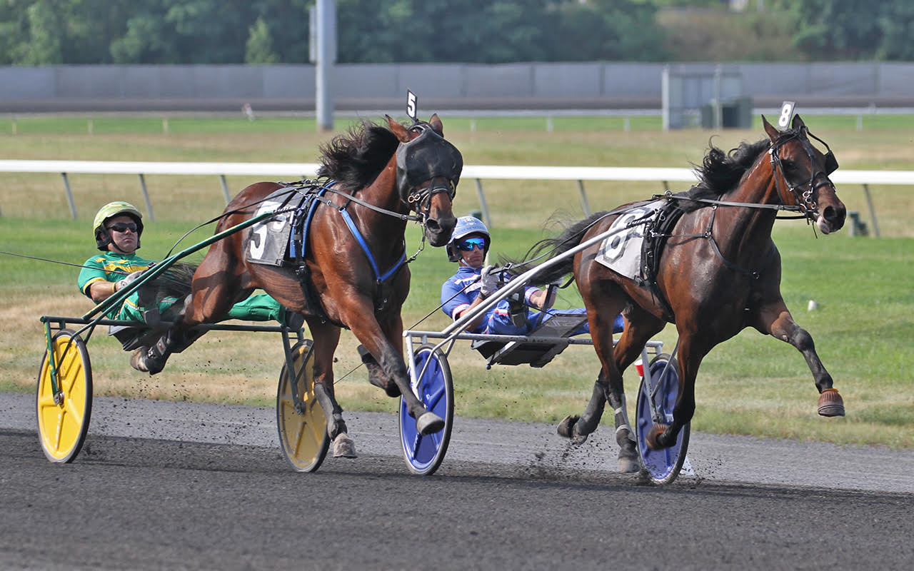 Armitage Farm - R Dutchess (outside) and R Charm (inside)... | Facebook