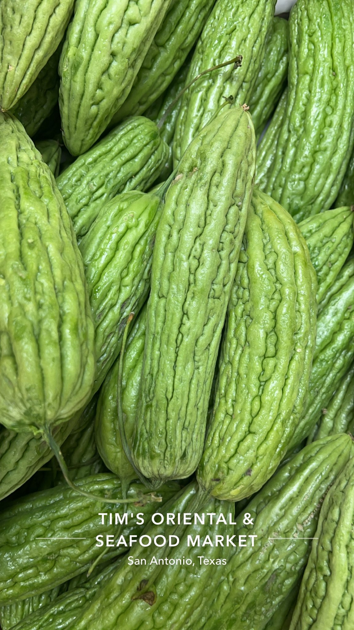 Celebrate Goya Day with bitter melon dishes on Oahu