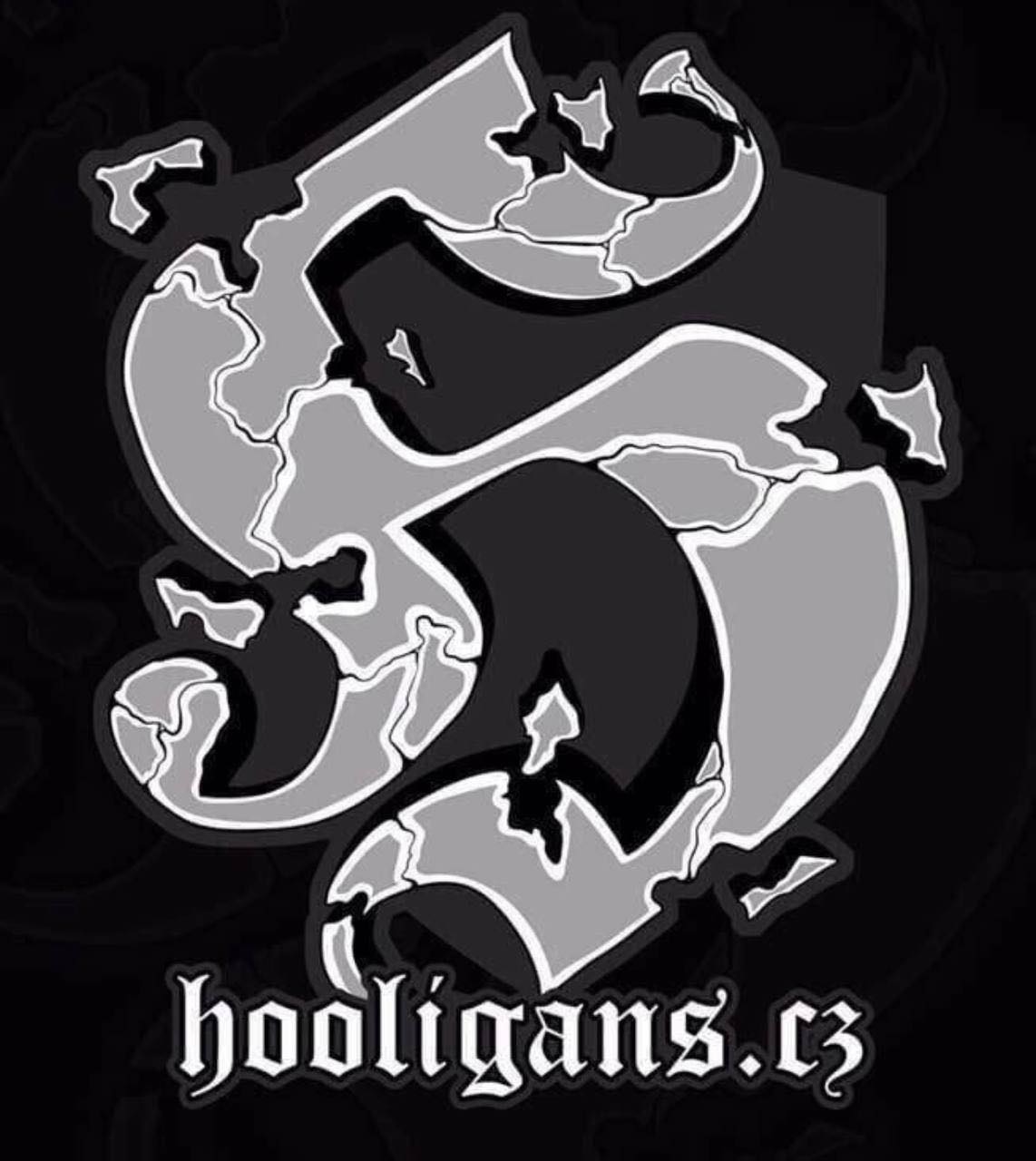 Hooligans.cz - 25.01.2026🇫🇷 Metz - Olympique Lyonnais, OL vs Metz: ~100 ...