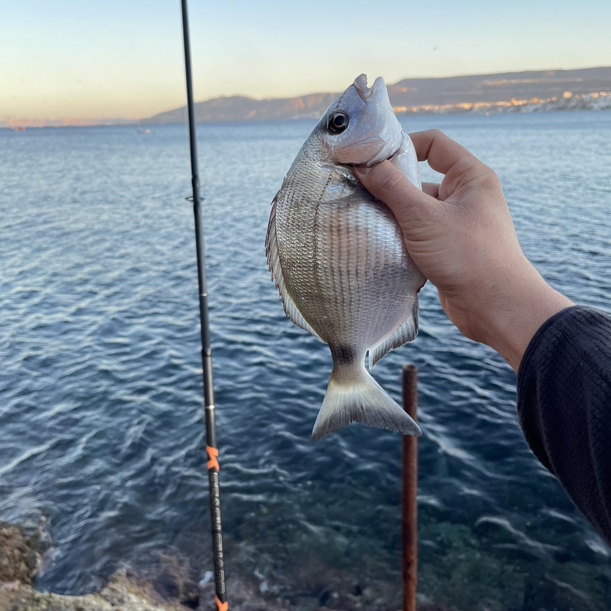 Un beau calamar sorti du noir 💡🦑 Hassan Taileb ...taher rah lahilek 😂 # ...