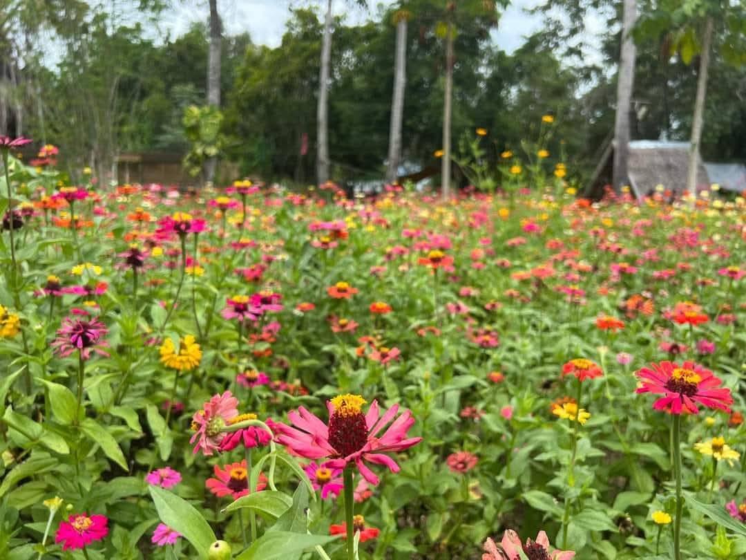 Lohong Beach Camp