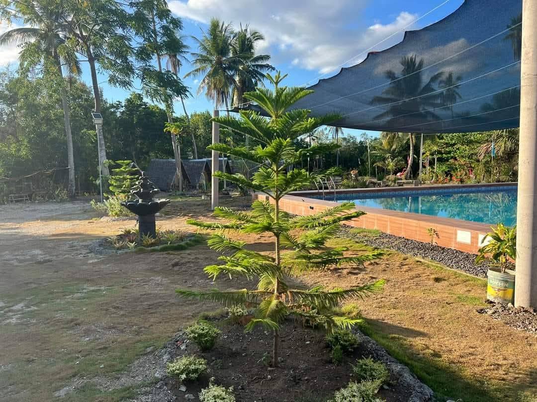 Lohong Beach Camp & Resort... - Lohong Beach Camp & Resort