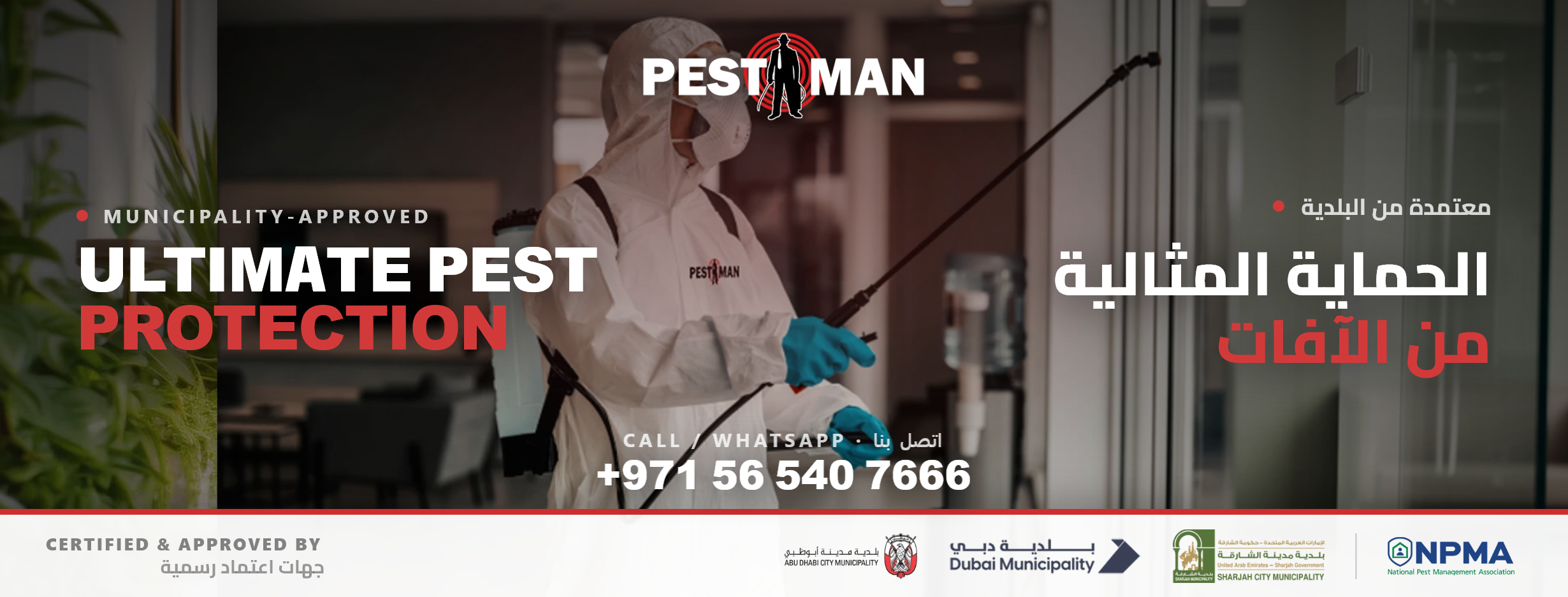 Pest Man | Dubai