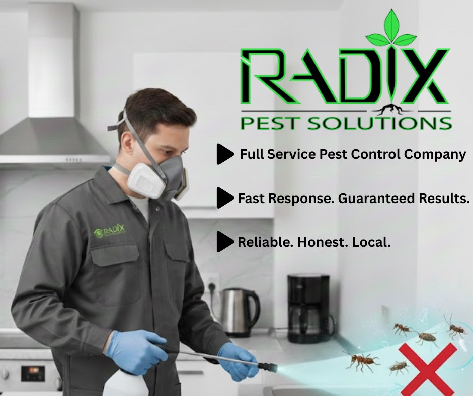 Exterminator Pompano Beach Fl