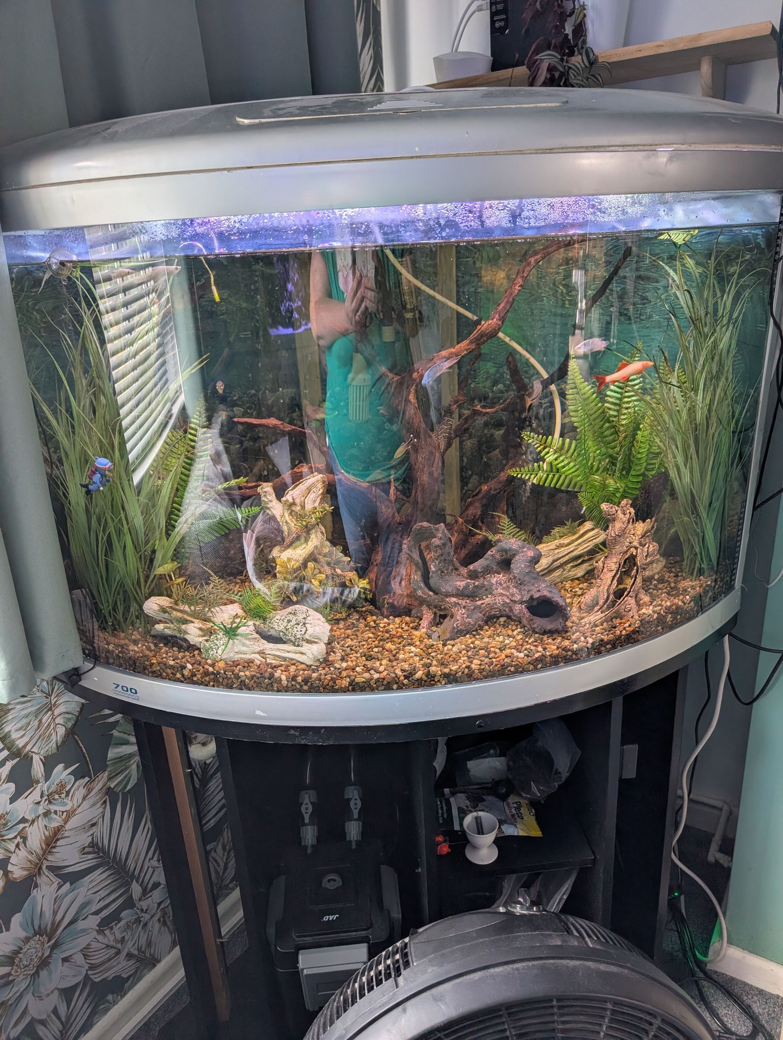 fish tank accessories for sale bristol Kooterfun Mermaid's Castle Decorations-28pack Include Castle Hideout, Faux Coral,Starfish and Artificial Plastic Plants Aquarium Dcor All Fish-Pink : Pet Supplies This ornament is colorful and natural feeling The Aquatic Store Bristol (@theaquaticstorebristol)