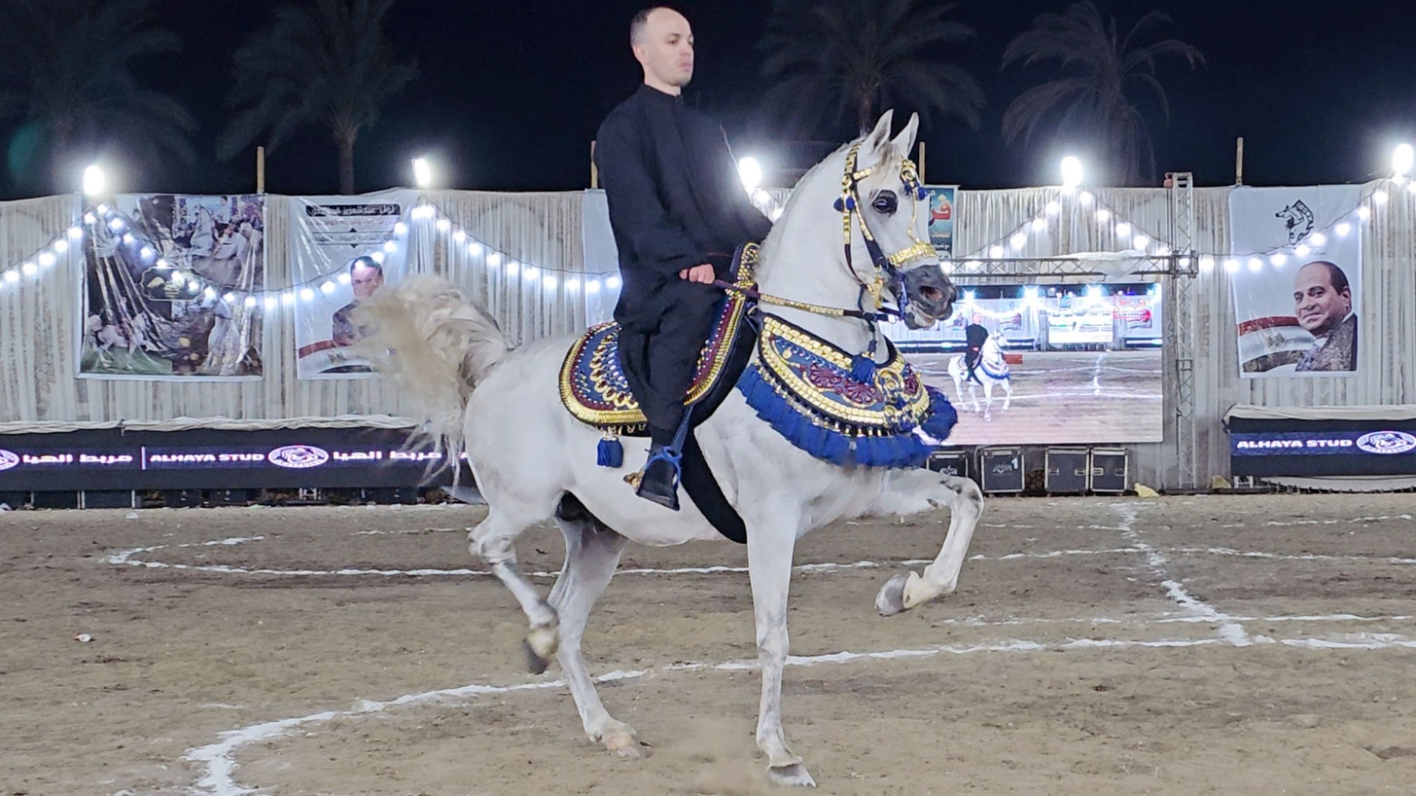 Egypt Stables - اسطبلات مصر
