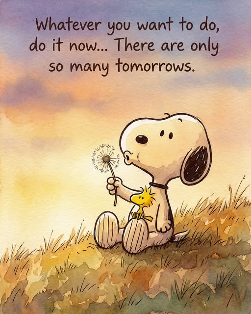 There is no tomorrow. Now is the perfect time.