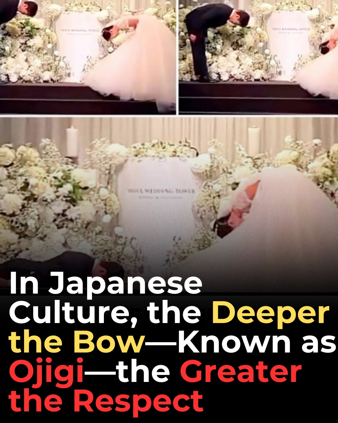 Travel - Have you ever watched someone bow so deeply it stops a room ...