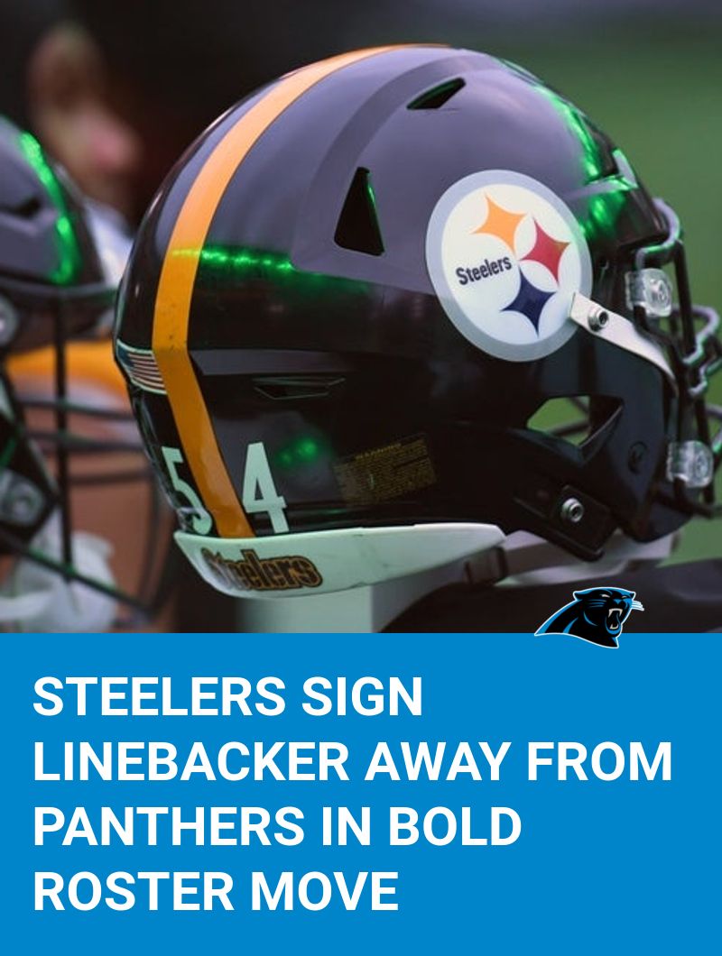 Panthers - 🚨 Roster Move Steelers Sign Linebacker Away From Panthers in ...