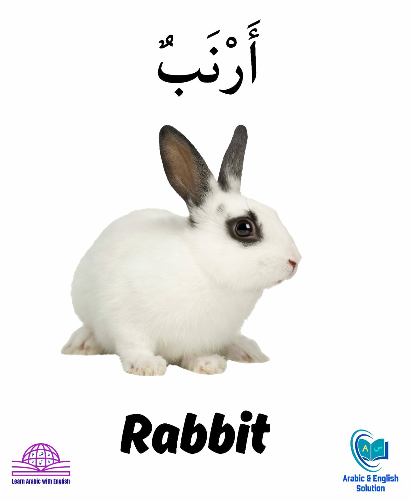 Arabic to English added a new photo. - Arabic to English