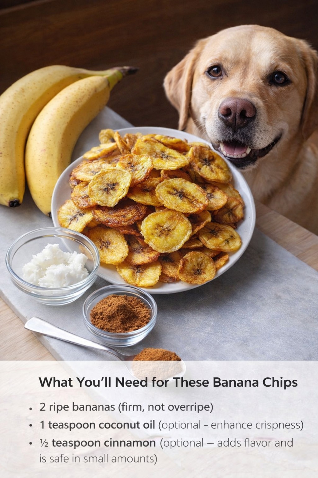 Picture Idea: Homemade Dog Food Recipes What You Ll Need For These