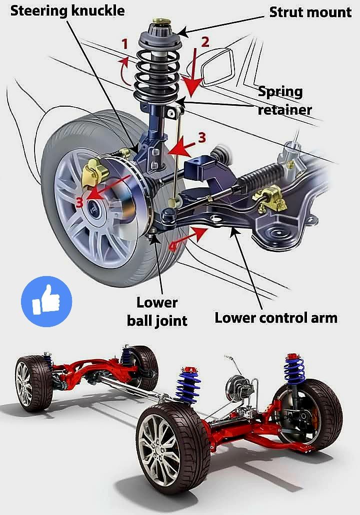 Shana - 🚗🔧 Do you know what keeps your ride smooth and safe on the road ...