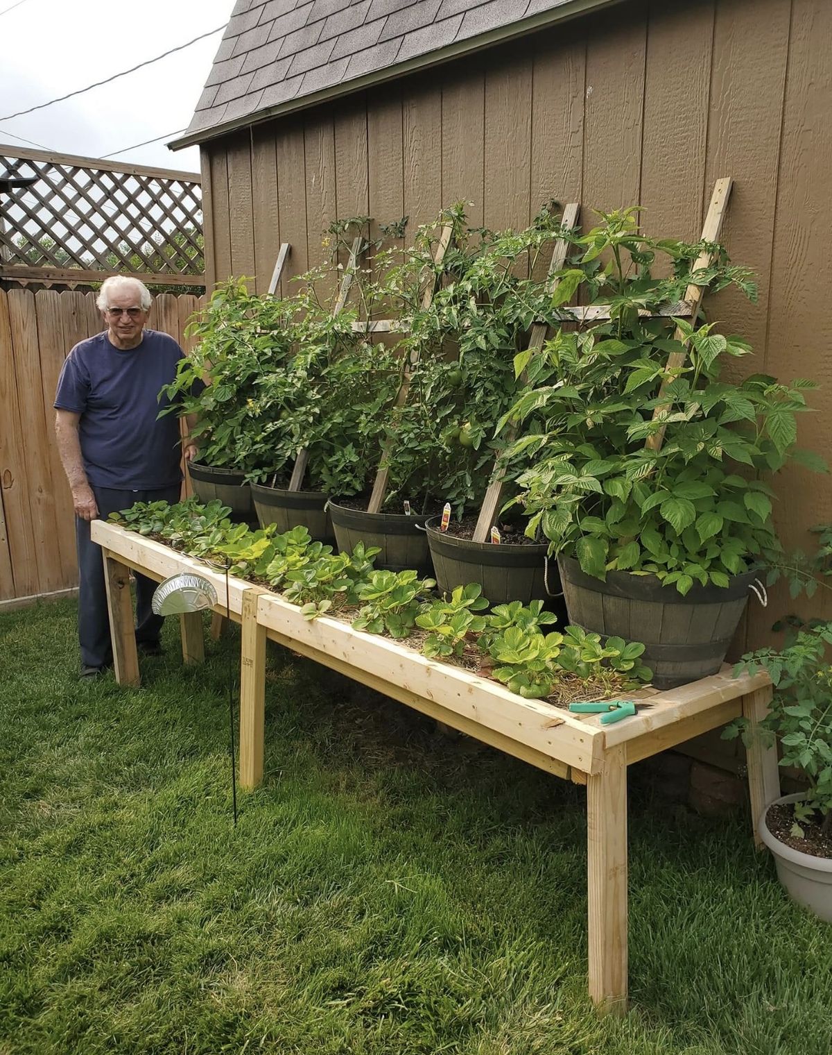 Gardening - Thrilled with our custom-built elevated garden bed! 🍓 It's ...