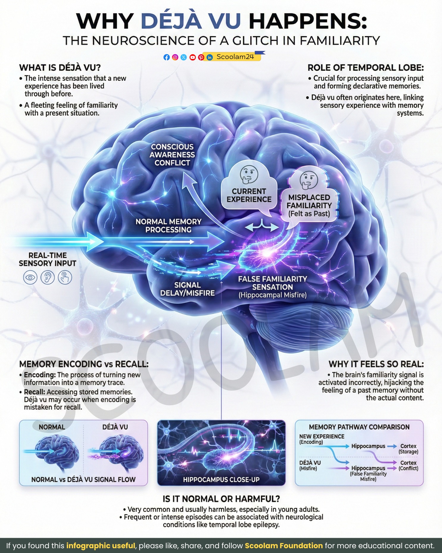 When the Brain Feels Like It Has Been... - Scoolam Foundation | Facebook