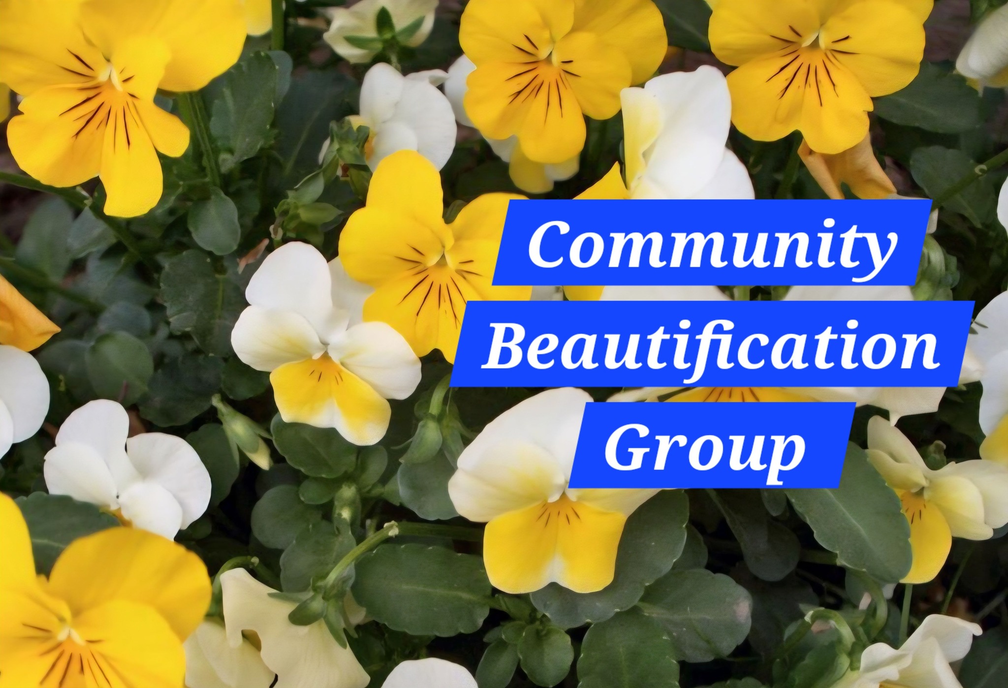 Community Beautification Group