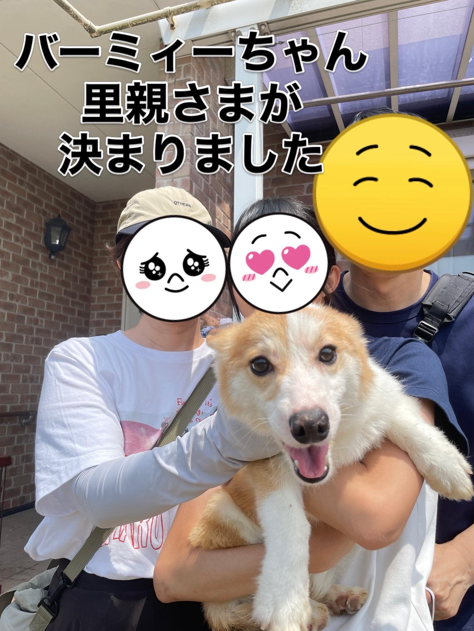 バーミィーちゃん‼️ 里親さまが 決まりました＼(^^)／