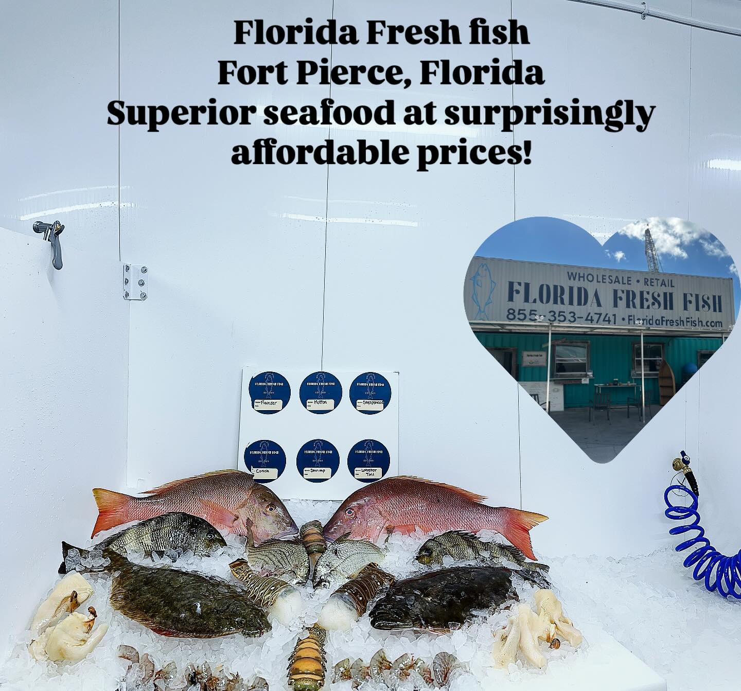 Florida Fresh Fish | Fort Pierce FL
