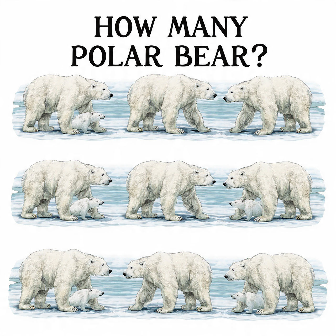 4 pics 1 word polar bear fish igloo Wildlife Canvas Prints Wants In Framed Home & Kitchen We're trying something a little
