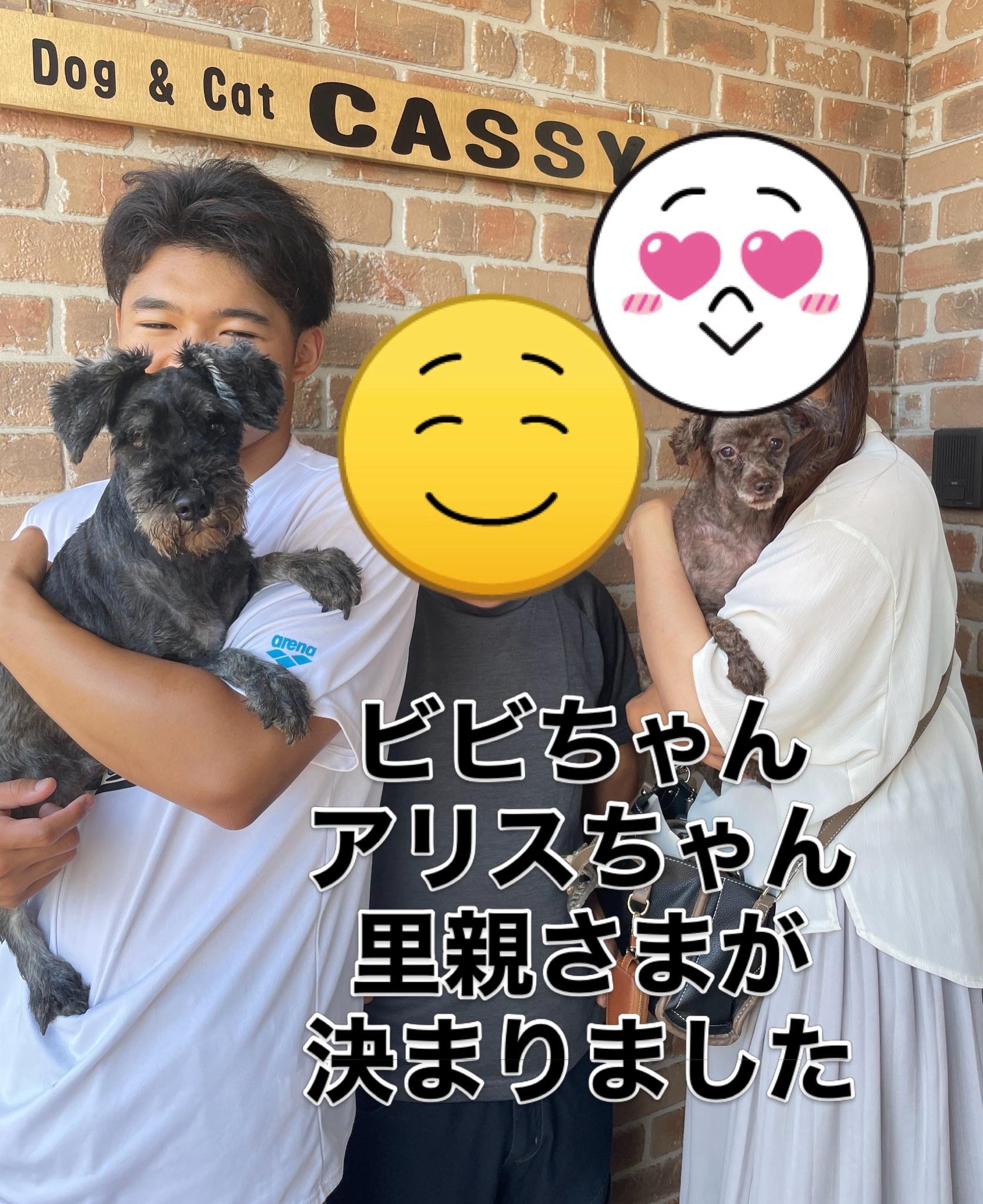 ビビちゃん アリスちゃんの 里親さまから 沢山のご寄付を 頂きました 