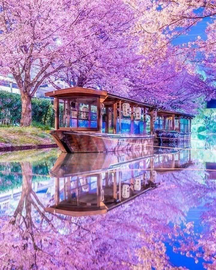 美しき日本の風景 自然と伝統 | Facebook
