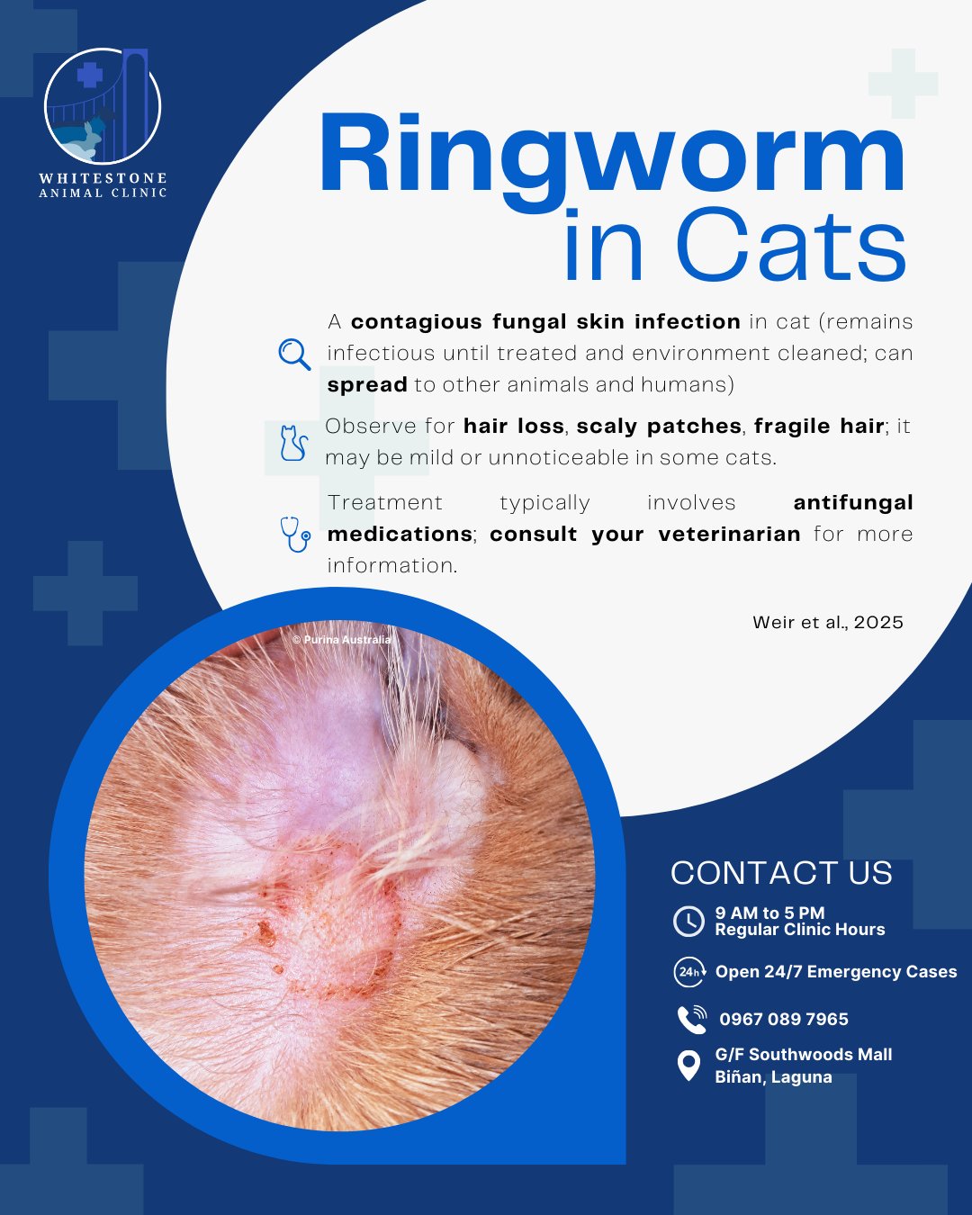 Whitestone - Ringworm is a contagious fungal skin infection. Not ...