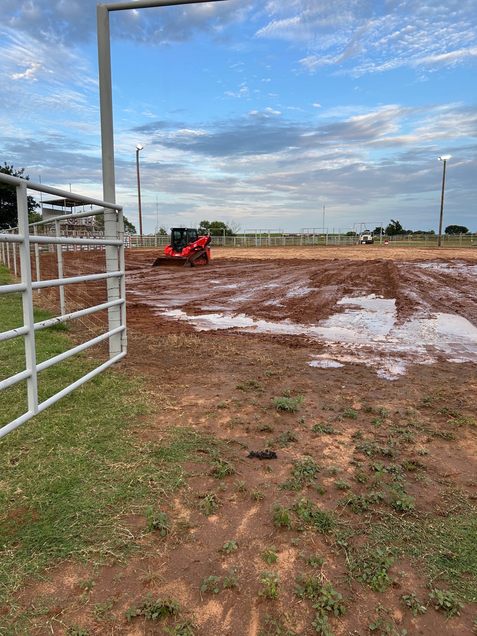 Seymour Tx Rodeo