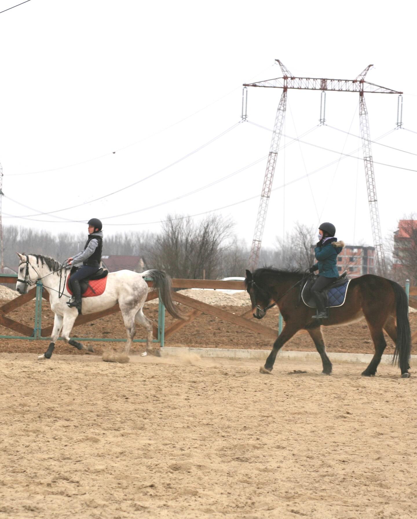 Equitopia Ranch | Bragadiru