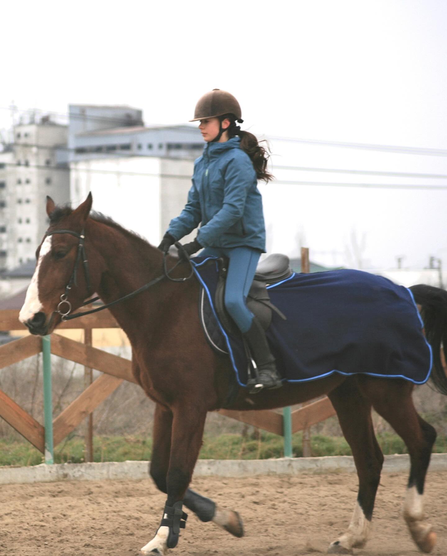 Equitopia Ranch | Bragadiru