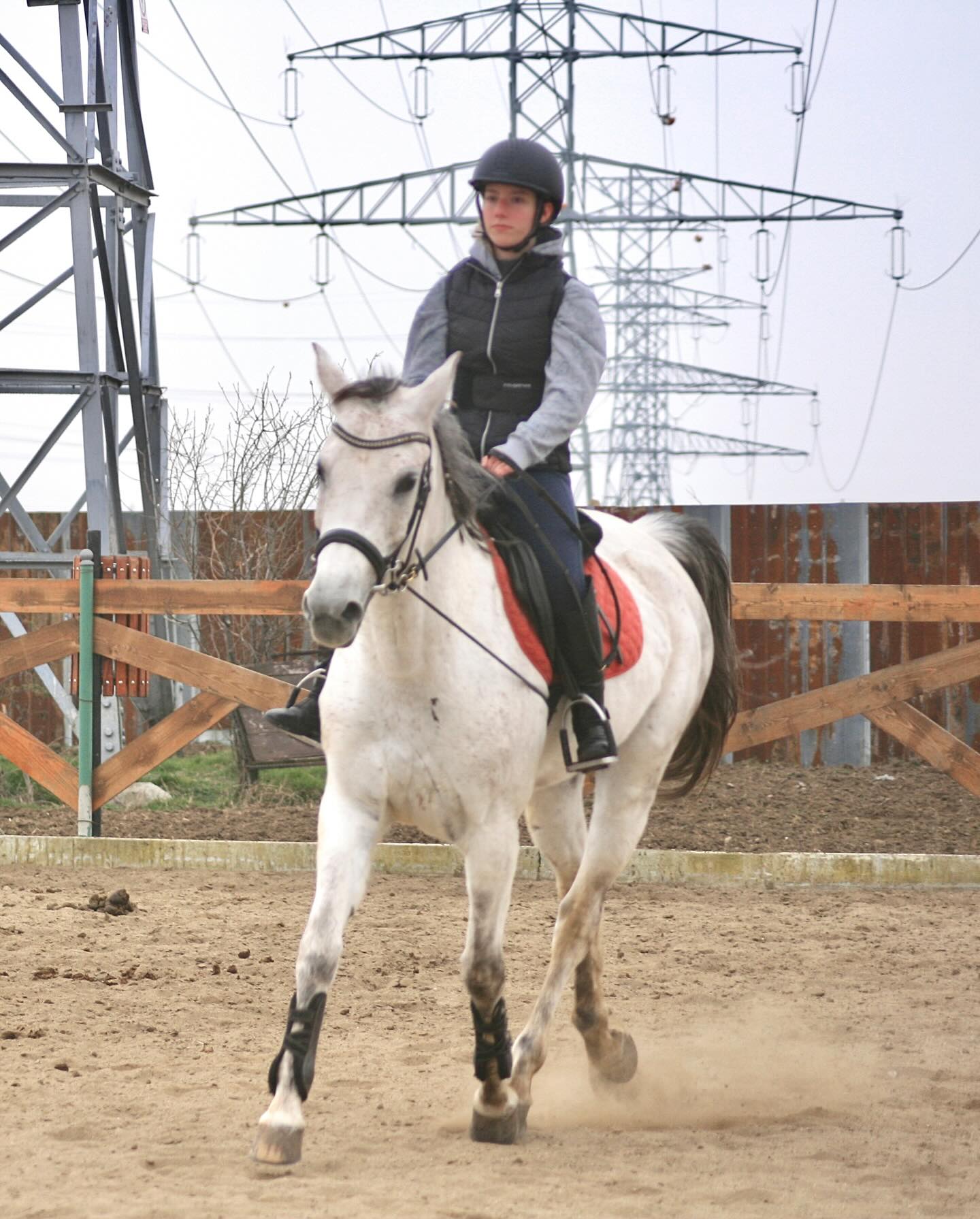 Equitopia Ranch | Bragadiru