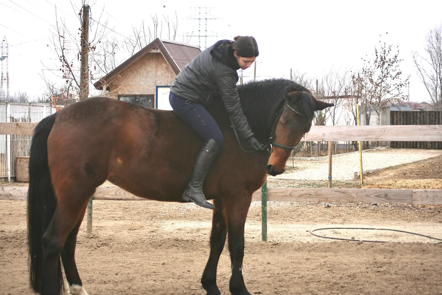 Equitopia Ranch | Bragadiru