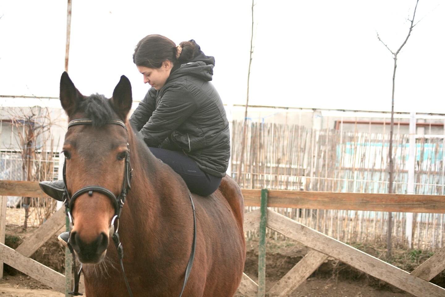Equitopia Ranch | Bragadiru