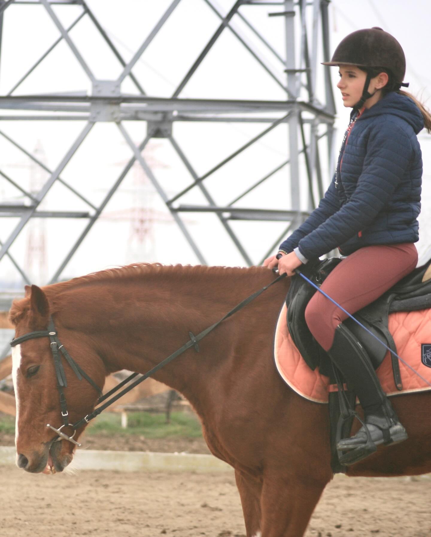 Equitopia Ranch | Bragadiru