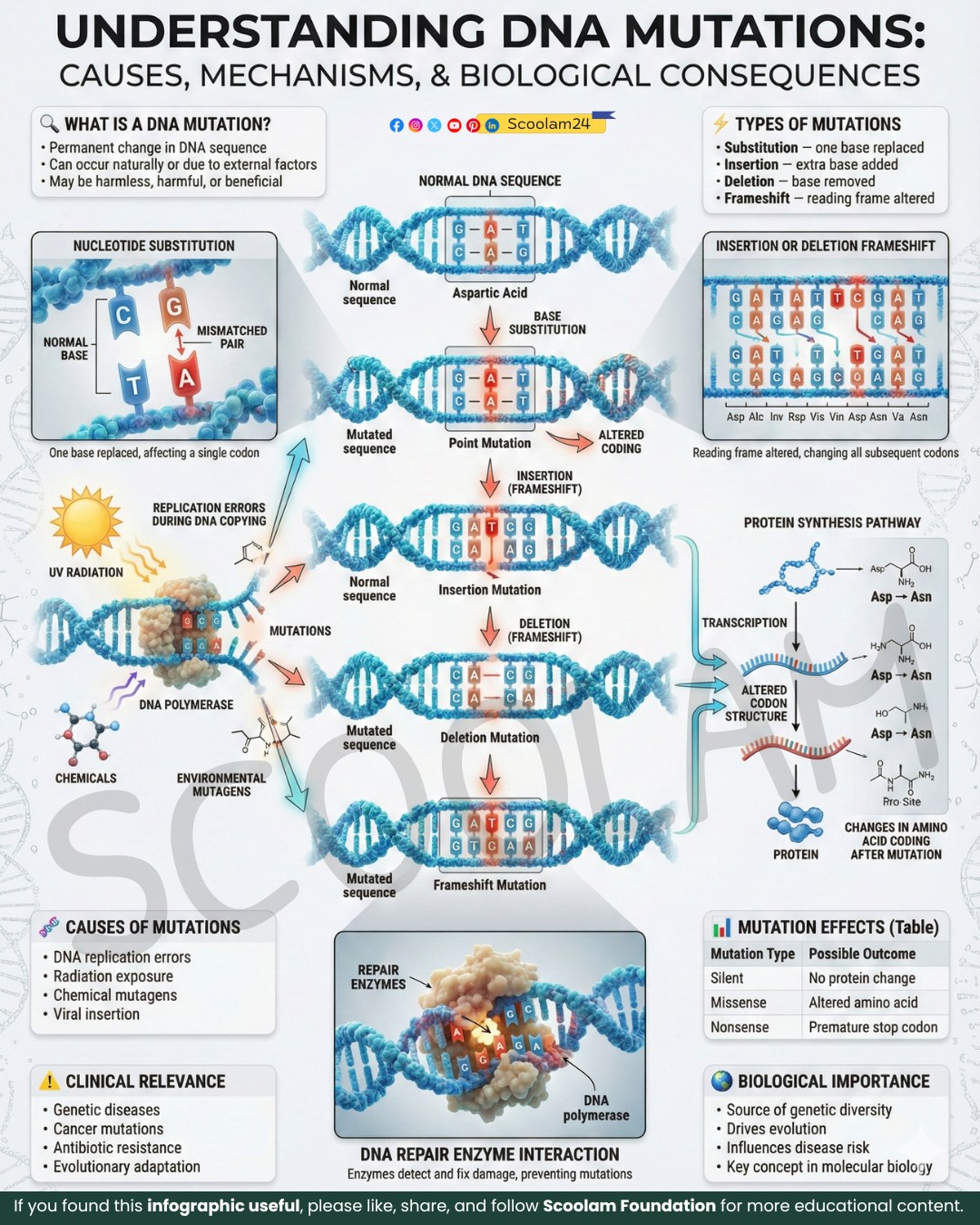 Understanding DNA Mutations: Changes... - Scoolam Foundation | Facebook