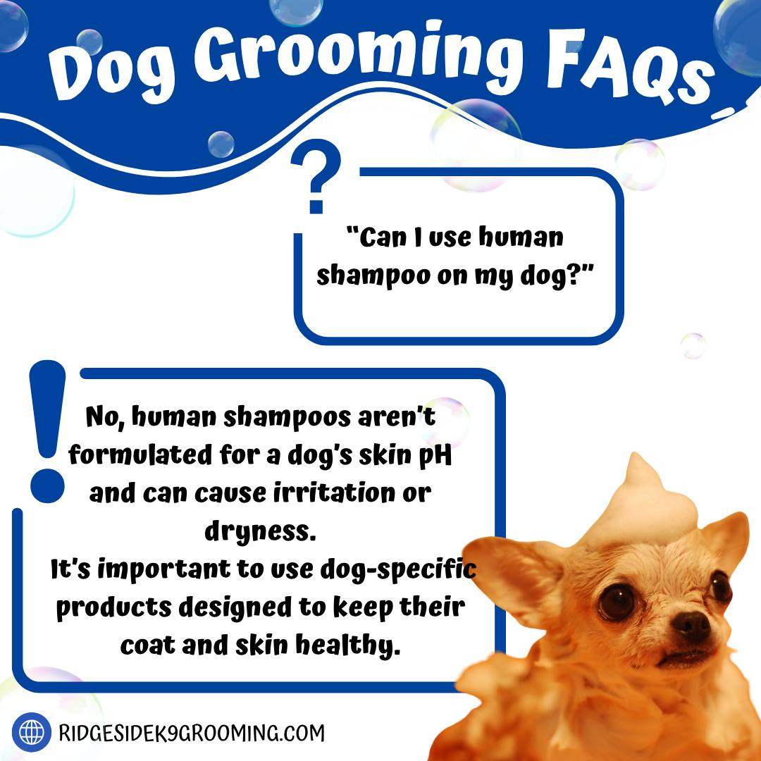 Is It Okay to Use Human Shampoo on Dogs: Expert Advice