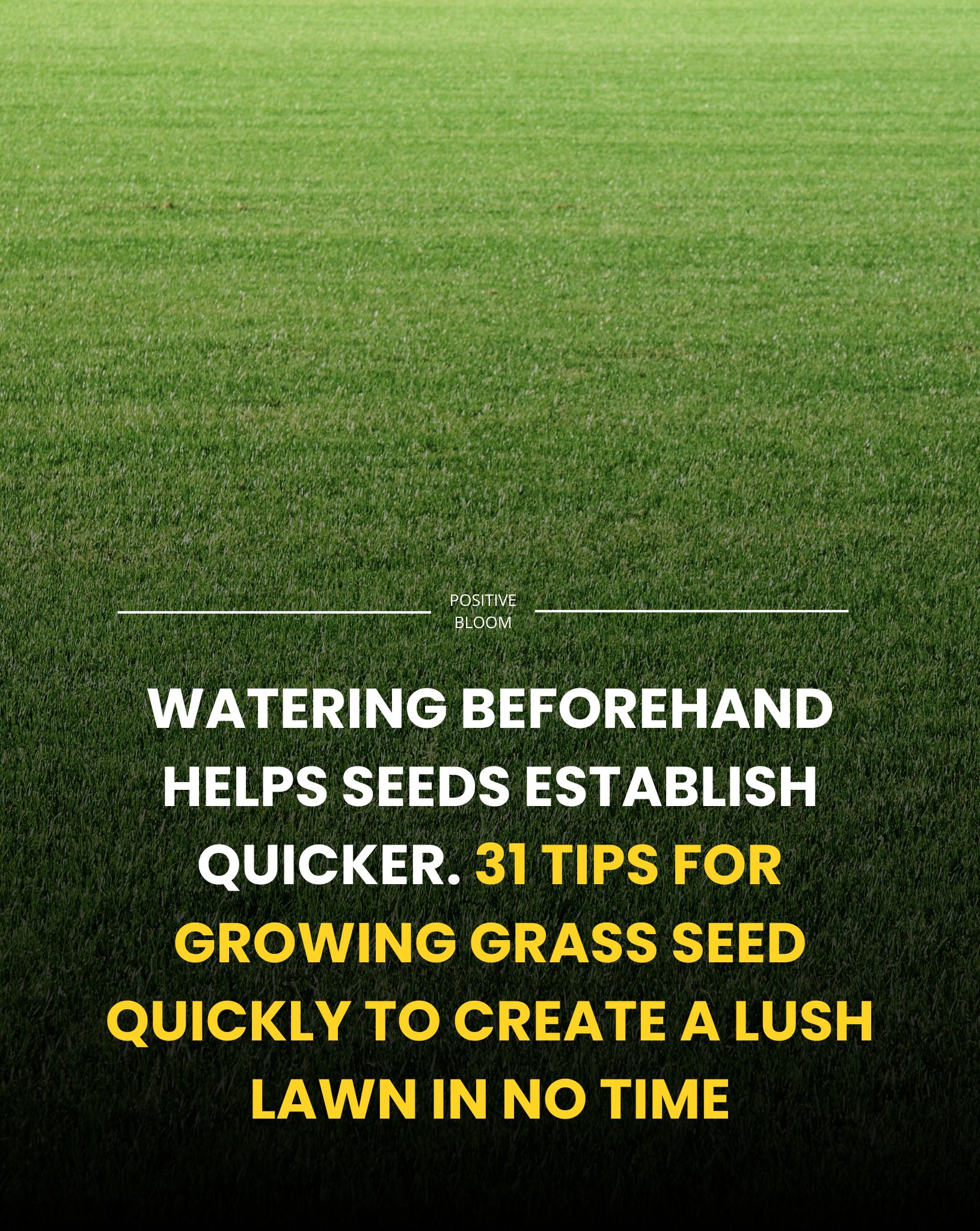 Gardening - 31 Tips For Growing Grass Seed Quickly To Create A Lush ...