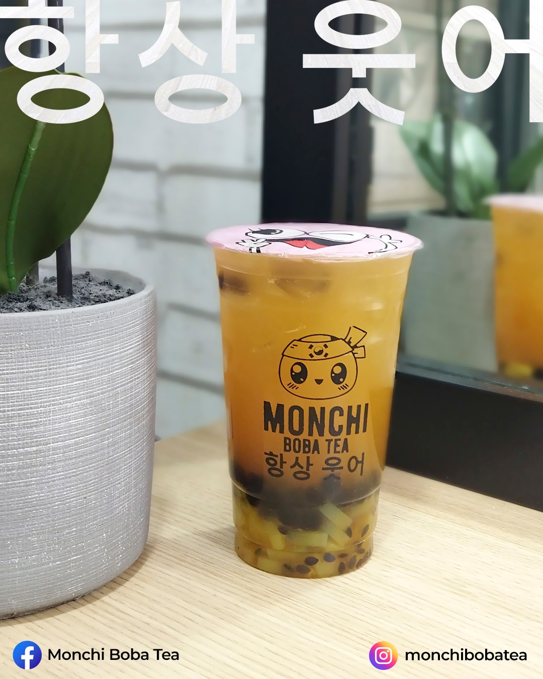 Monchi Boba Tea