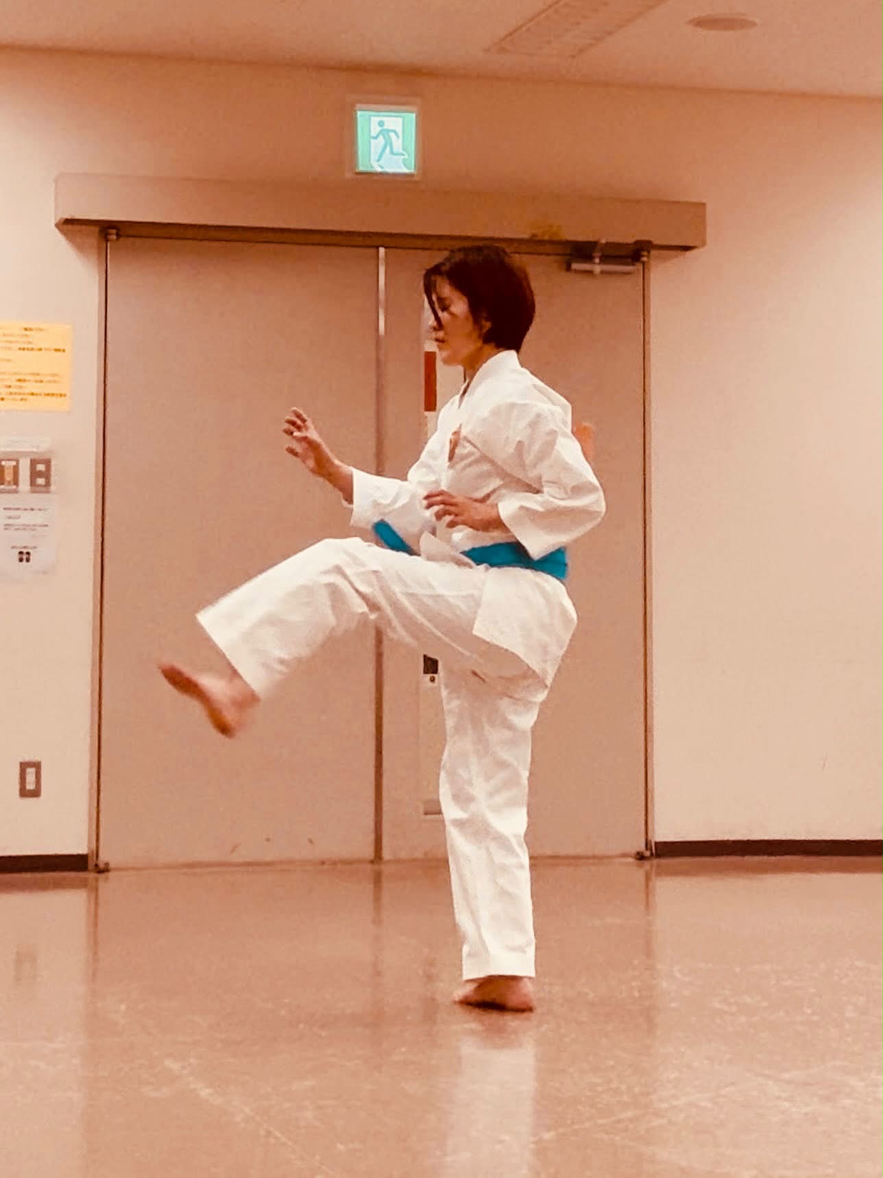沖縄剛柔流空手道 尚禮館 平川道場 Gojuryu Shoreikan Hirakawa Dojo