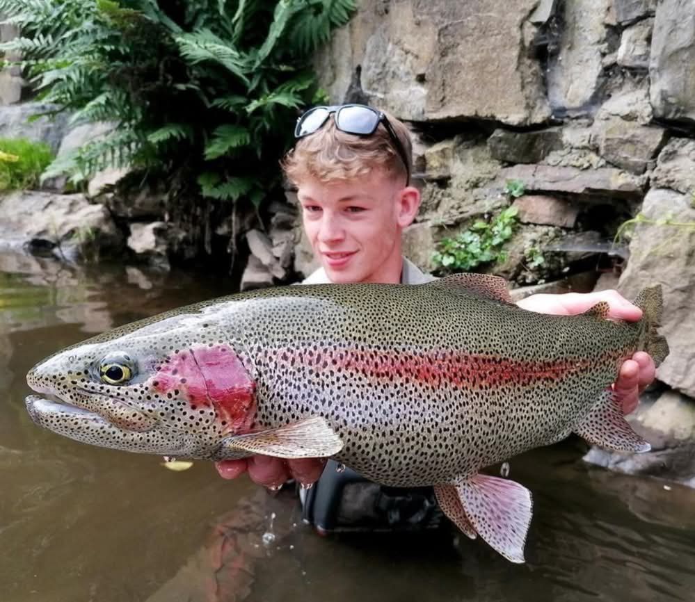 Big Rainbow 🌈 Trout caught by Esteemed Angler.
