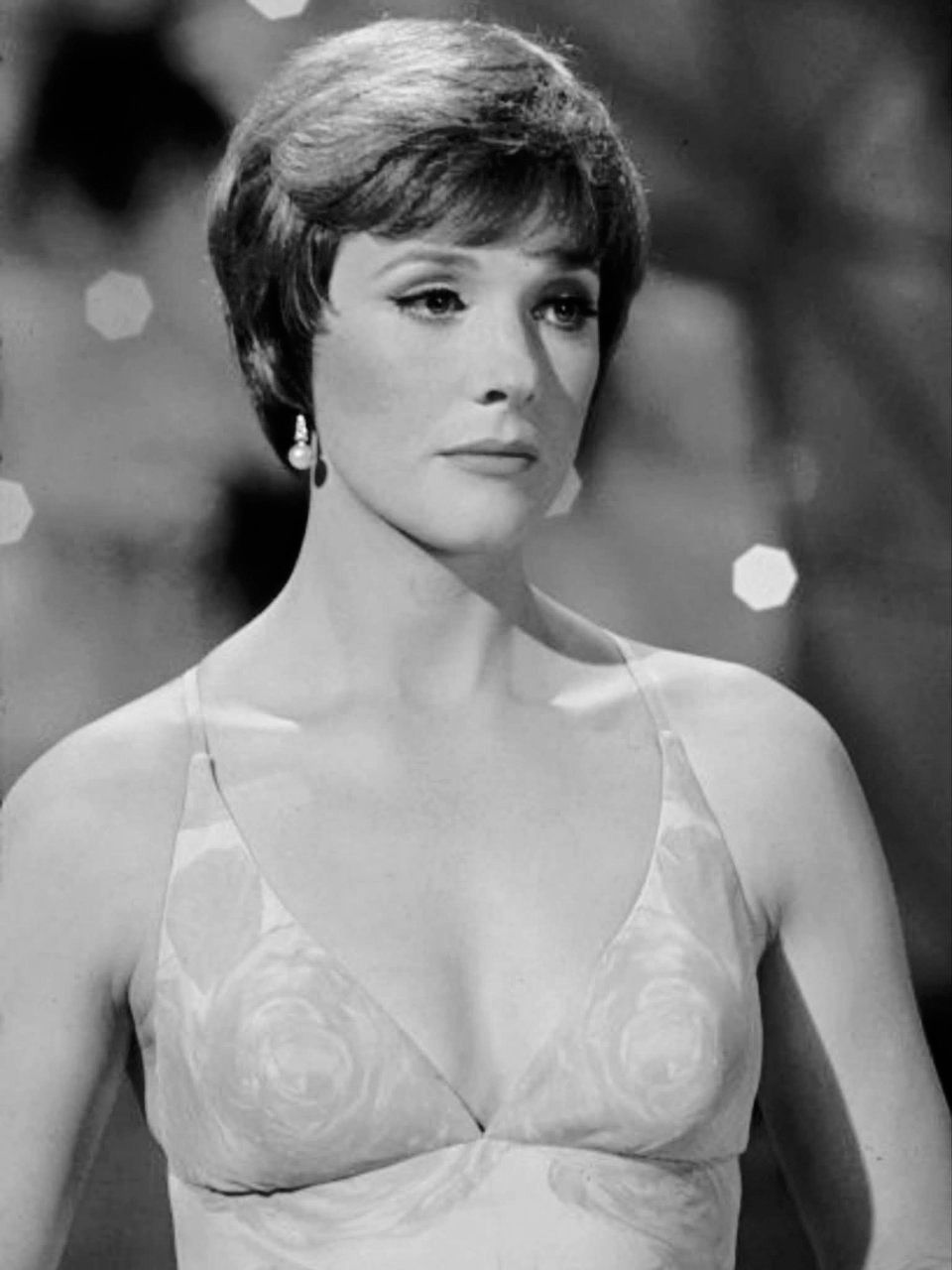 Julie Andrews 1977年初来日 福岡公演チケット半券 顔写真付き JULIE