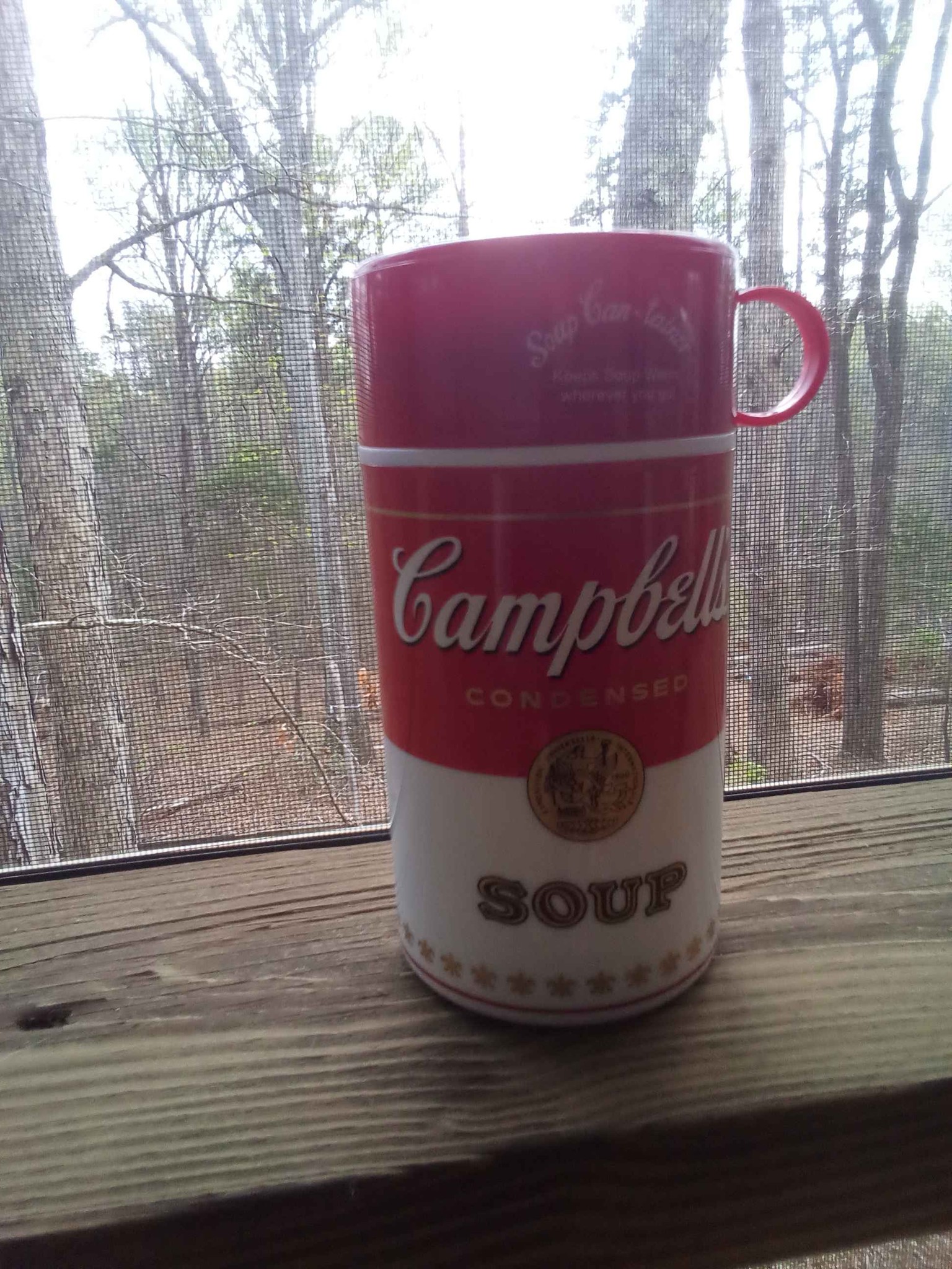 The cutest little Vintage 1990's Campbell's soup thermos. Also