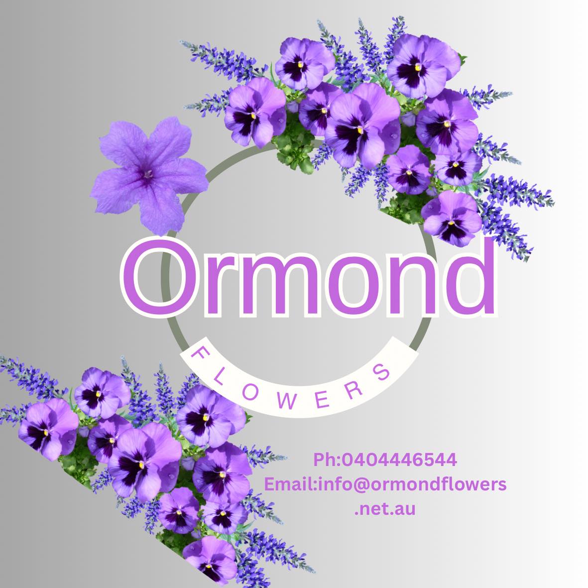 Purple and yellow 💜💛 | Ormond Flowers