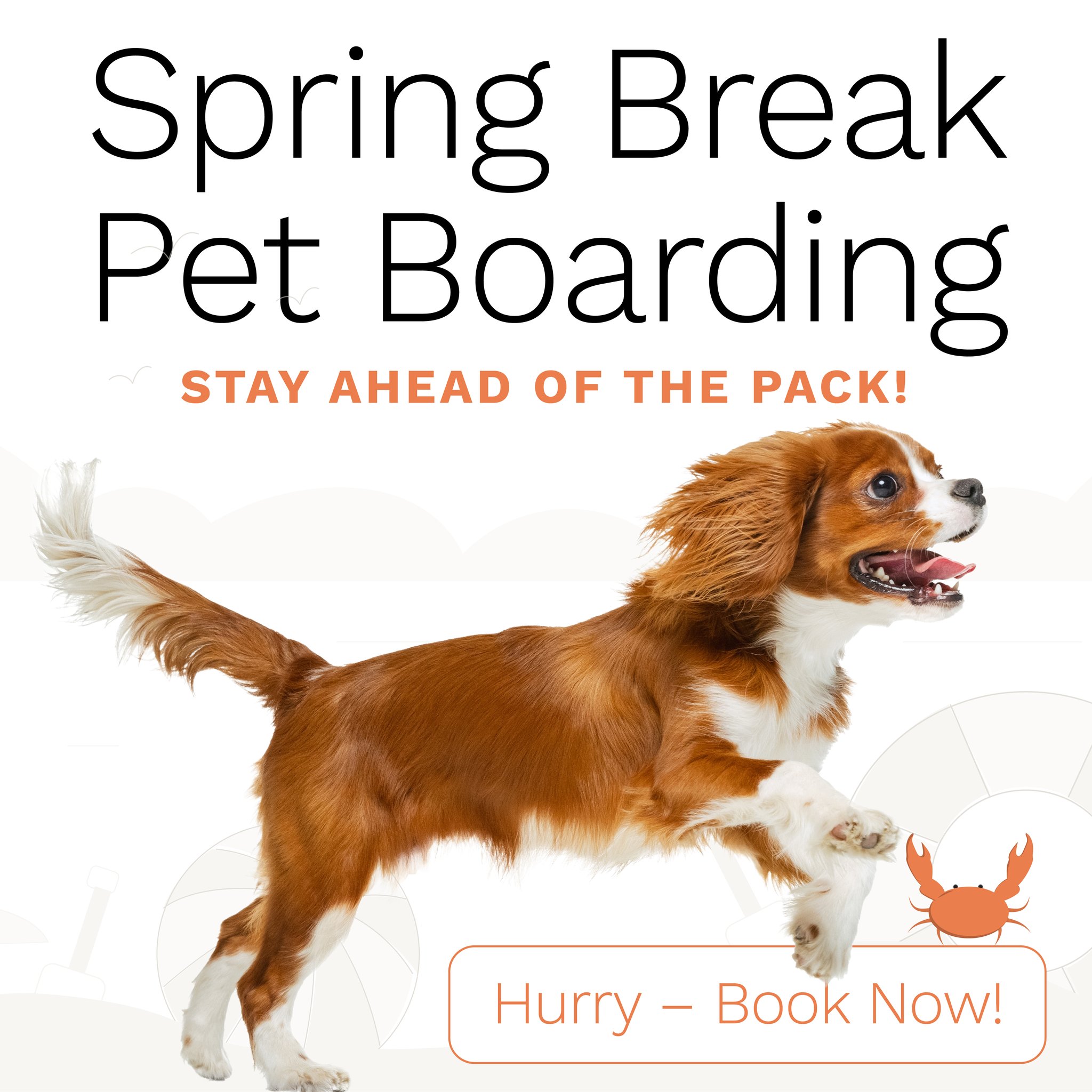 Hound - Have you locked in your spring break boarding reservation yet ...