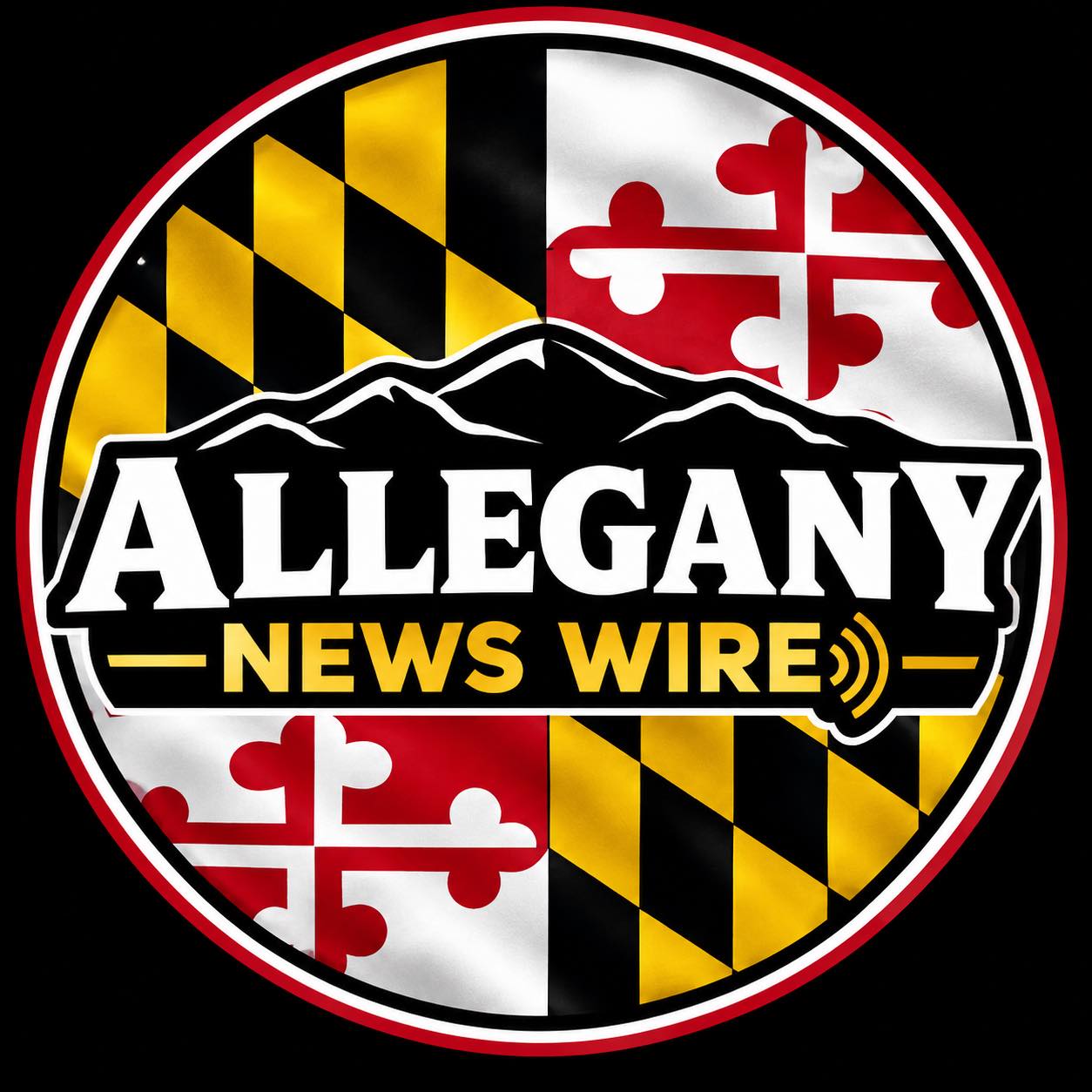 ⚠️ POWER GRID EMERGENCY DECLARED:... - Allegany News Wire | Facebook