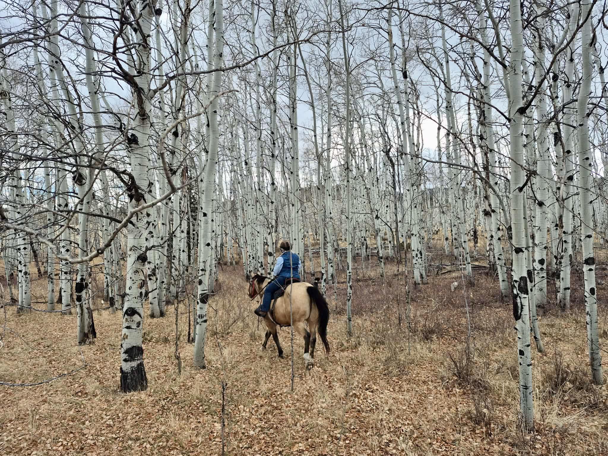 Double G Ranch CO