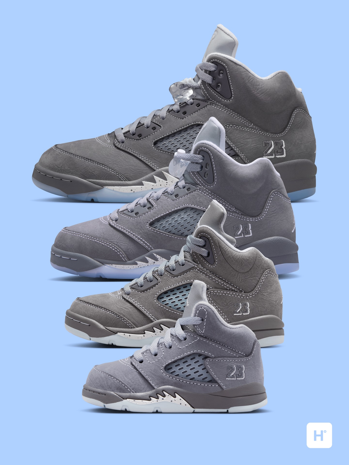 The Air Jordan 5 