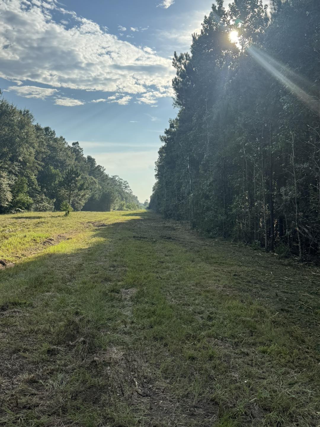 McConnell Row Services | Needville TX
