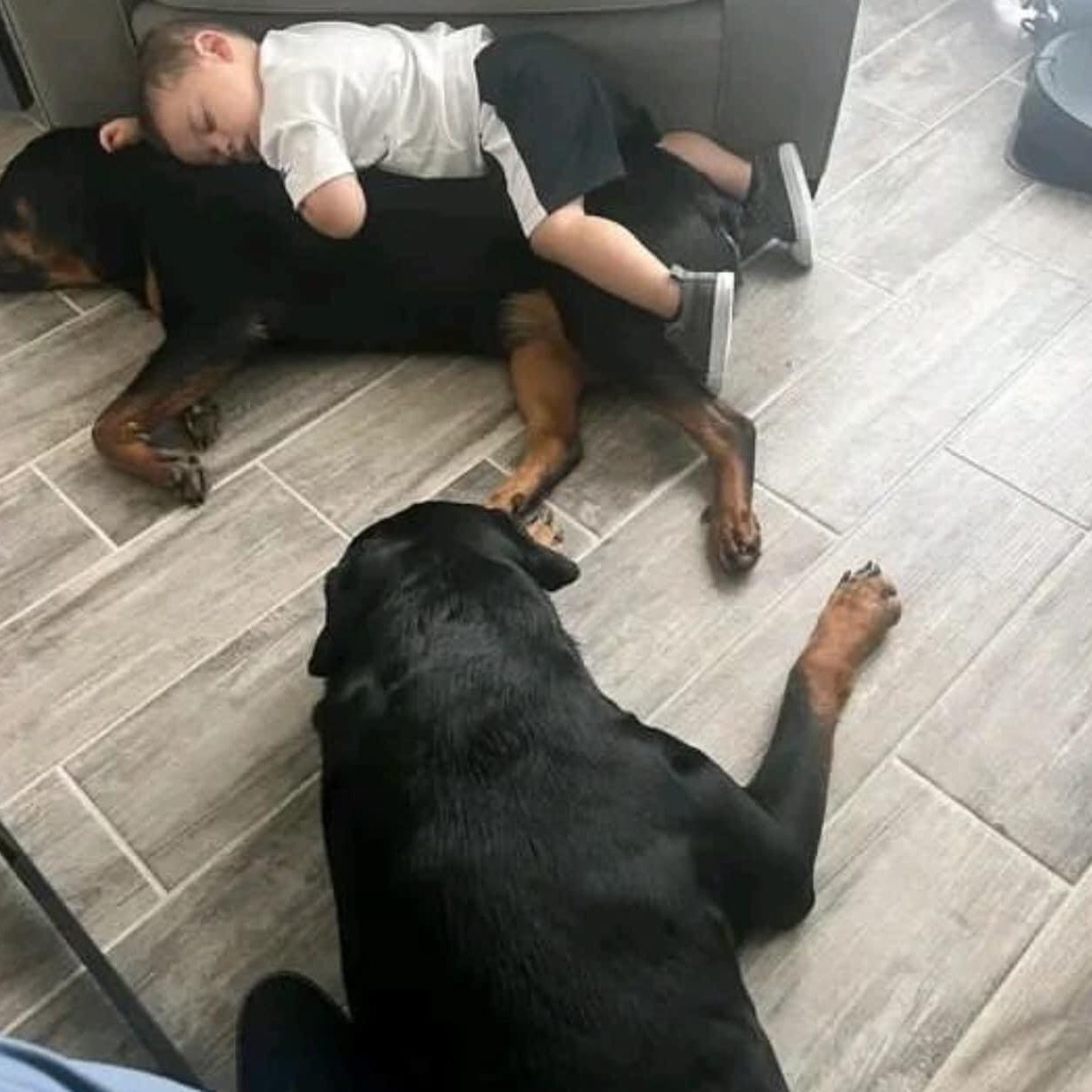 😂😂😂🥰 what’s he saying?? Hello 👋 We just created a new group for the ...