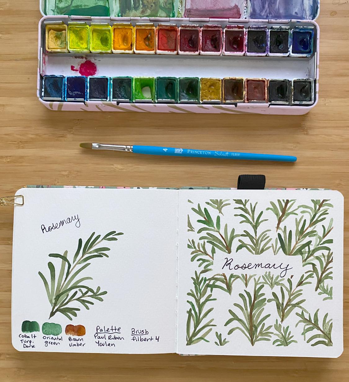 Painted - Watercolor Veggie 14: rosemary sprigs! Here’s the full ...